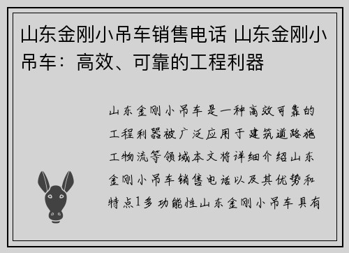 山东金刚小吊车销售电话 山东金刚小吊车：高效、可靠的工程利器