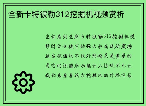全新卡特彼勒312挖掘机视频赏析